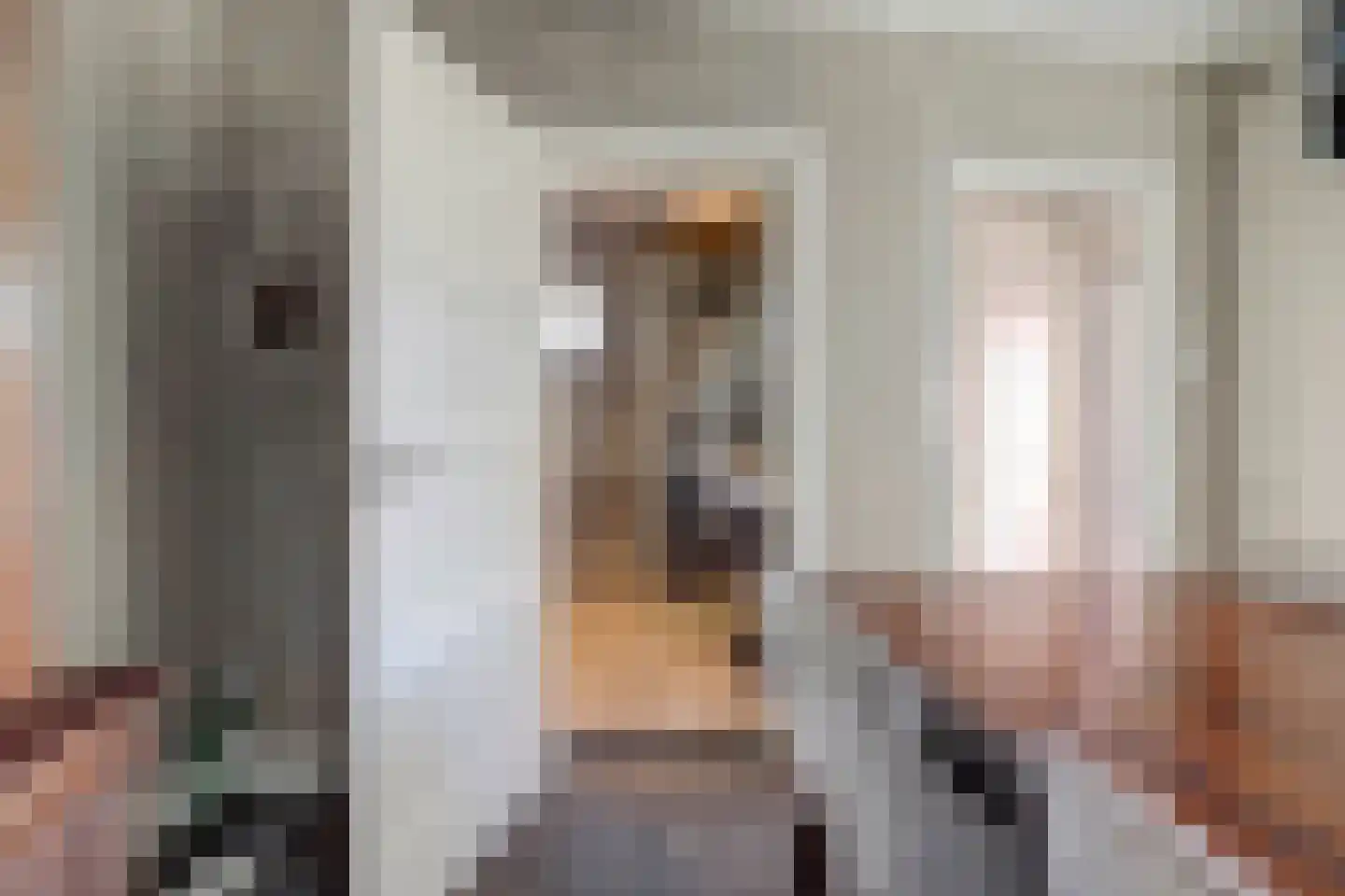 Bettekamp 93 Ede thumbnail 17