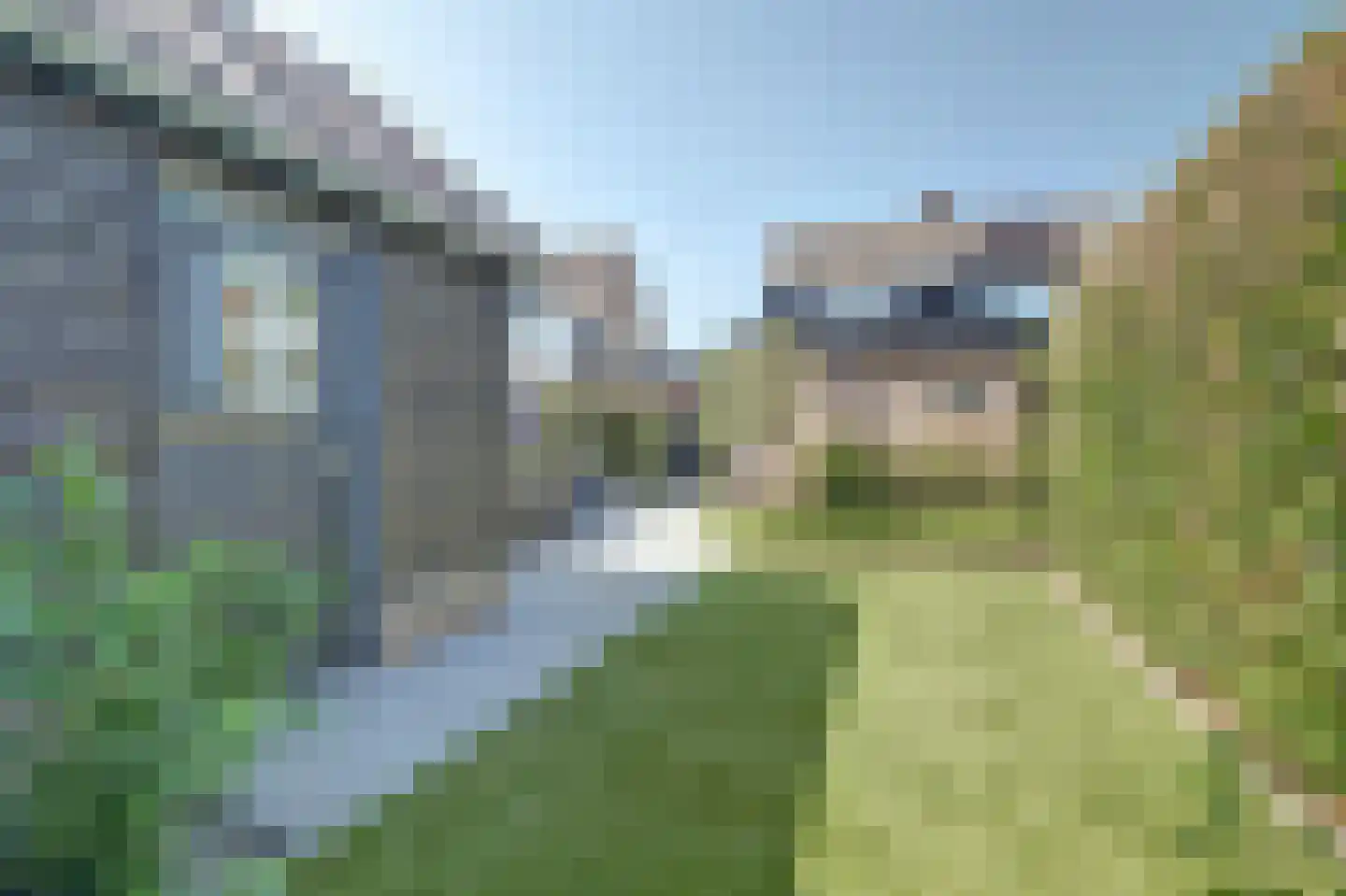 Bettekamp 93 Ede thumbnail 37