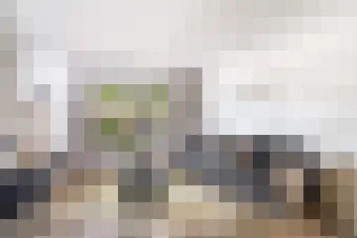 Bettekamp 96 Ede thumbnail 15