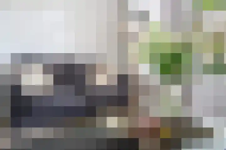 Bettekamp 96 Ede thumbnail 17