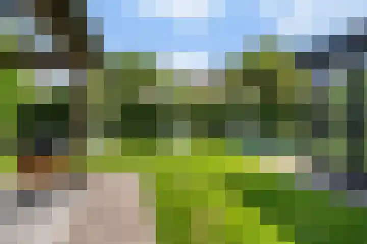 Bettekamp 96 Ede thumbnail 44