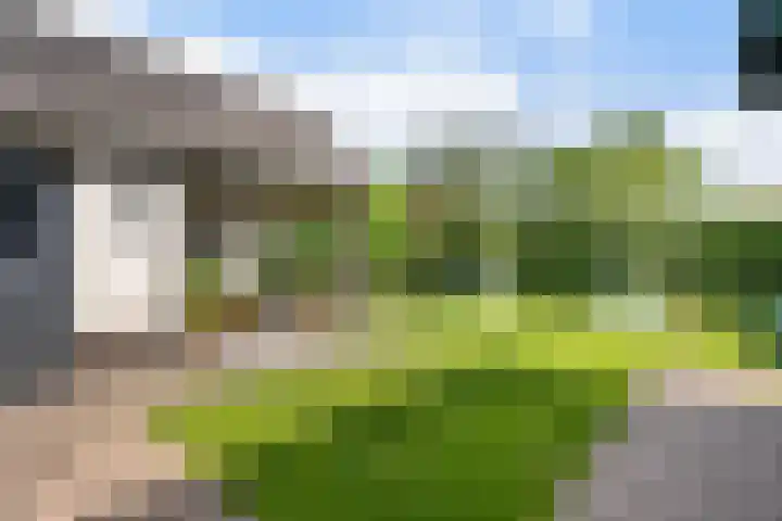 Bettekamp 96 Ede thumbnail 52