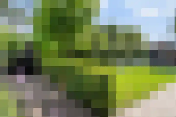 Bettekamp 96 Ede thumbnail 53