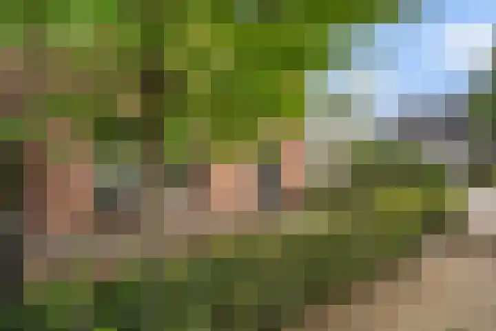 Bettekamp 96 Ede thumbnail 63