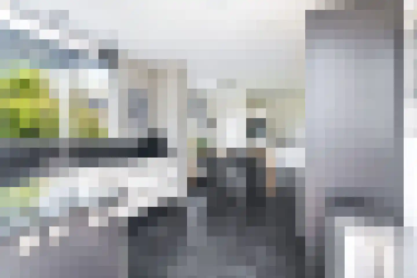 Betterwird 12 Dokkum thumbnail 18