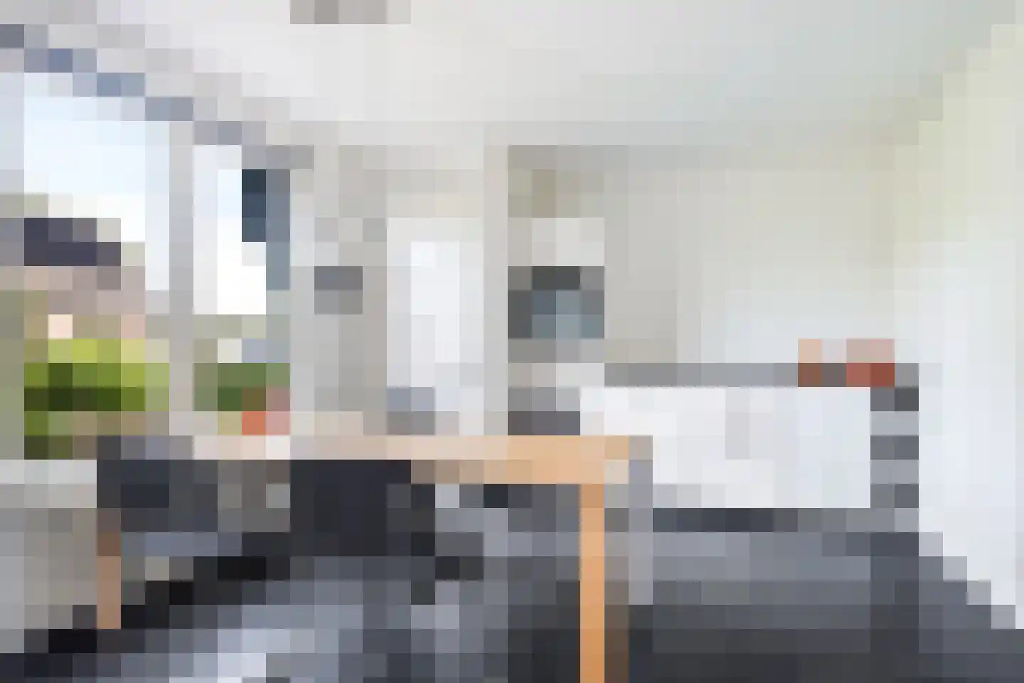 Betterwird 12 Dokkum thumbnail 20