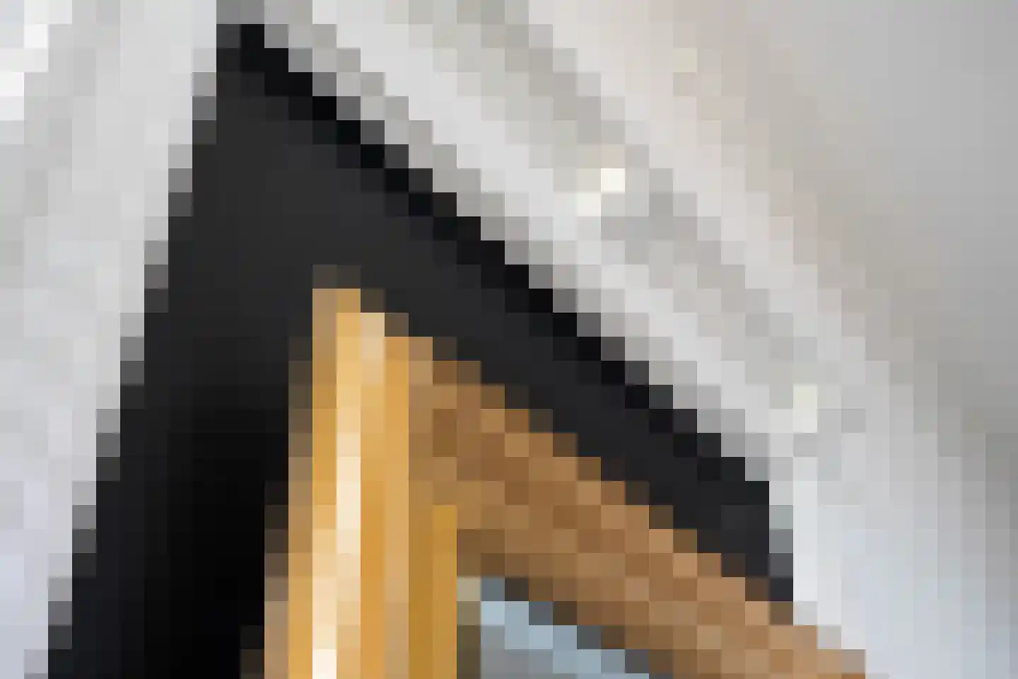 Betterwird 12 Dokkum thumbnail 21