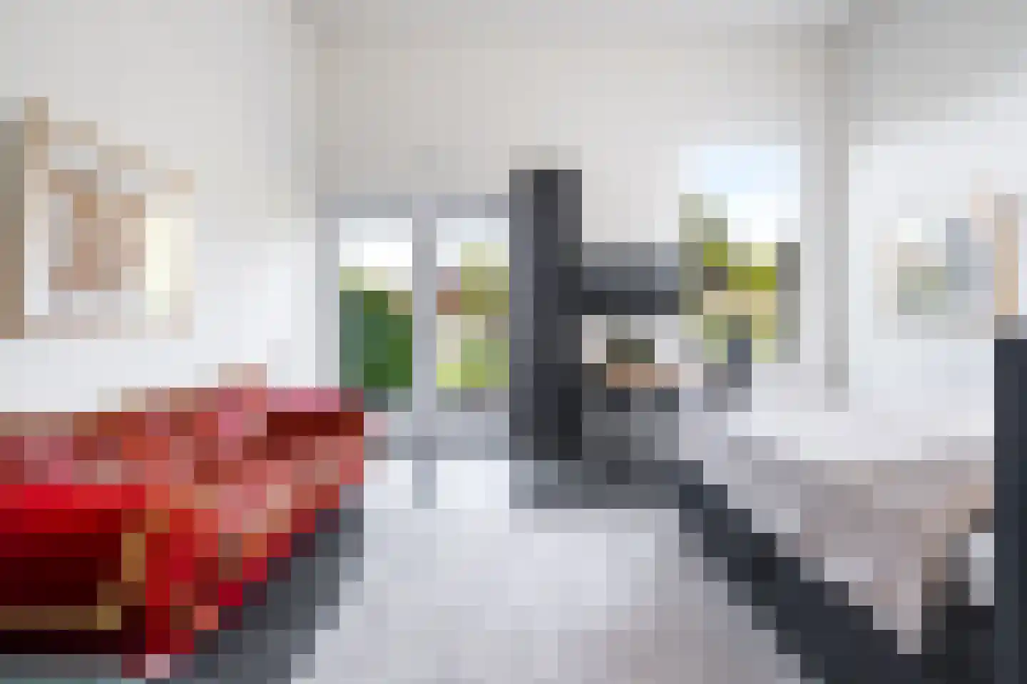 Betterwird 12 Dokkum thumbnail 30