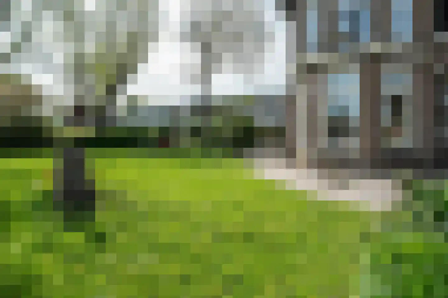 Betterwird 12 Dokkum thumbnail 4