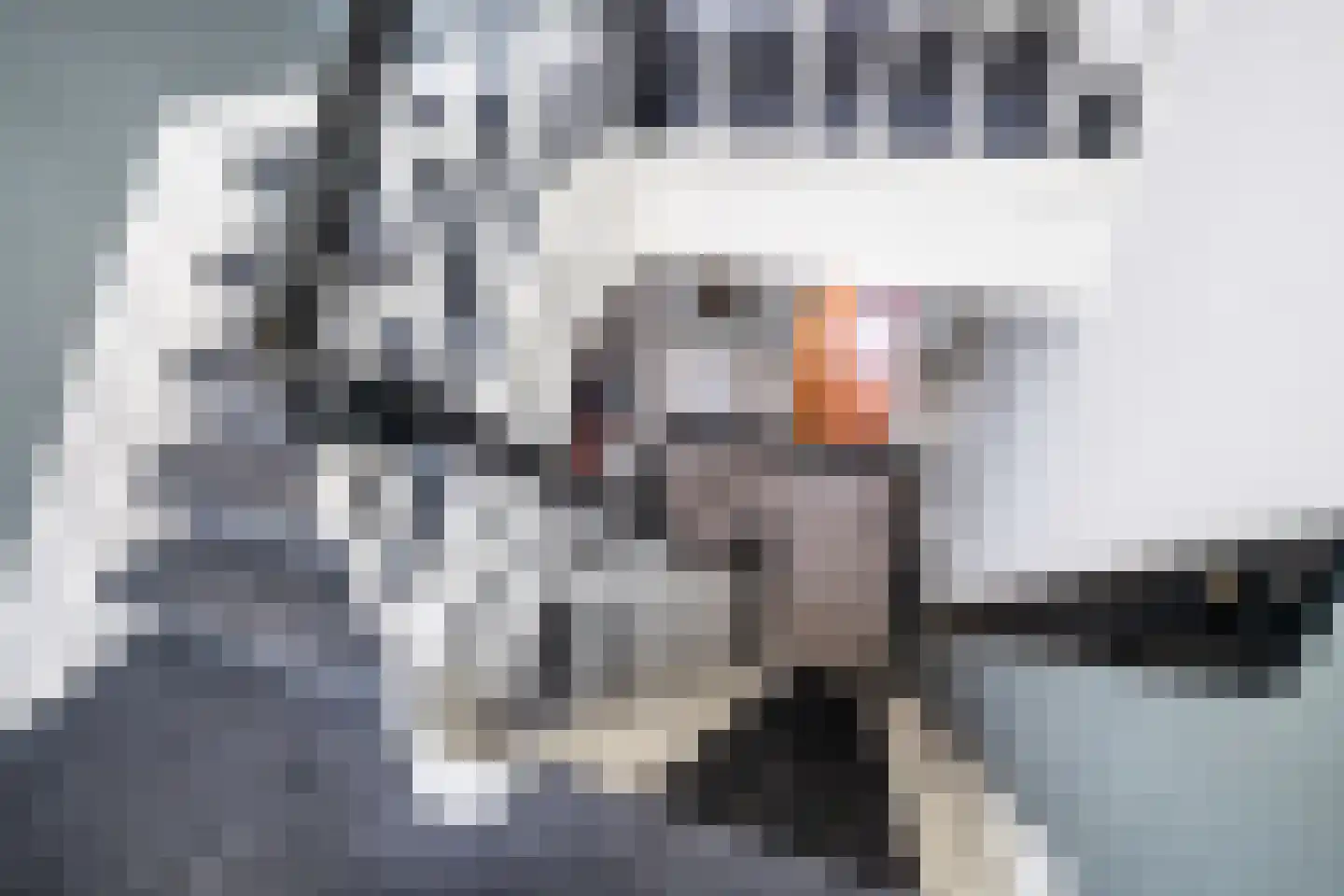 Betterwird 12 Dokkum thumbnail 40
