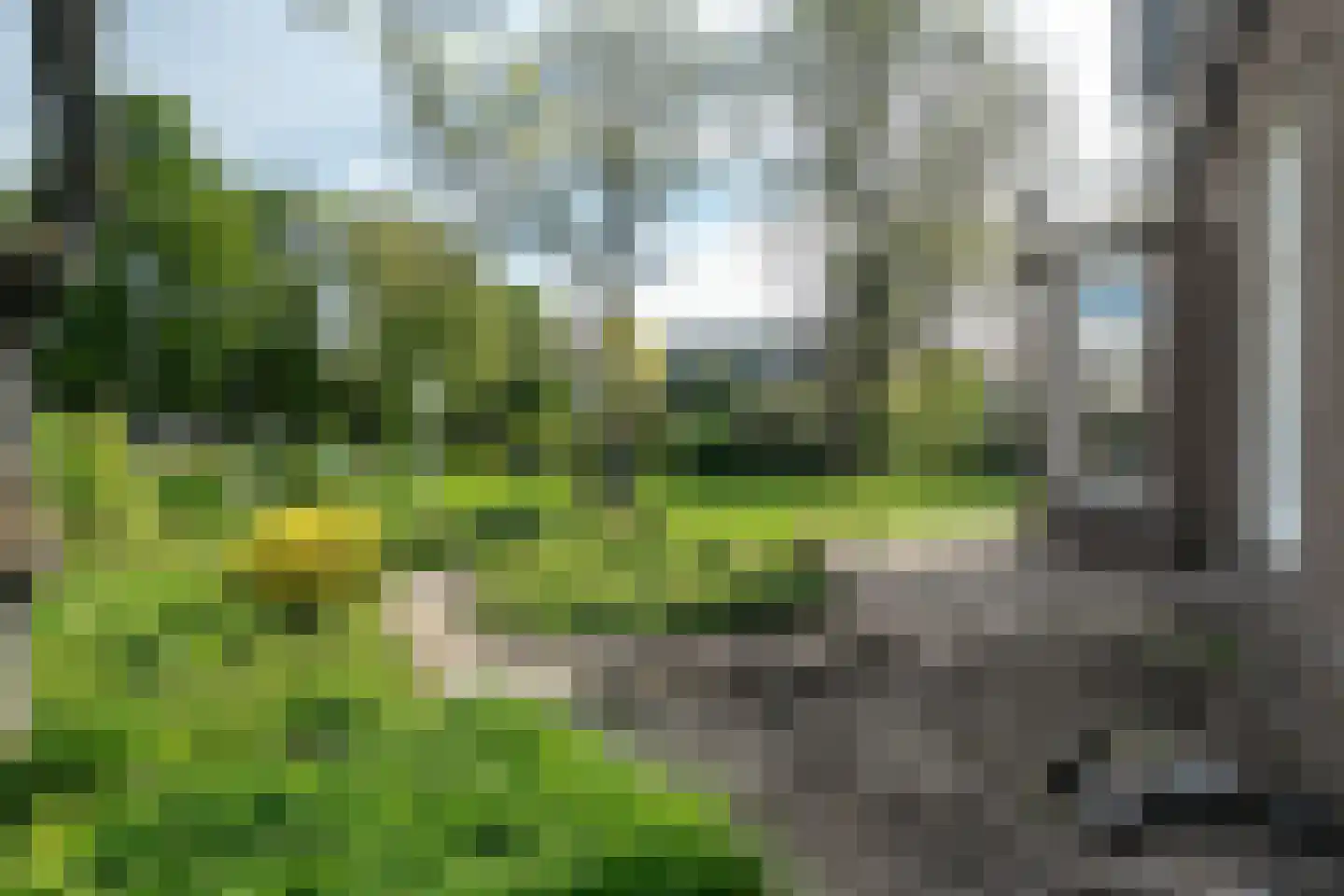 Betterwird 12 Dokkum thumbnail 5