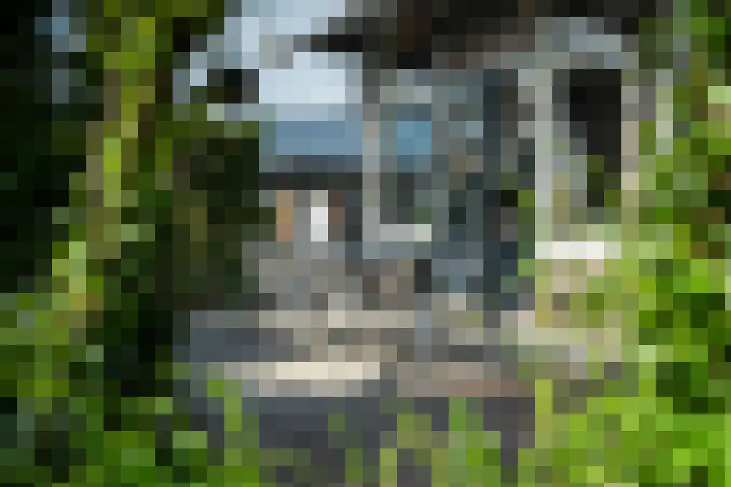 Betterwird 12 Dokkum thumbnail 57