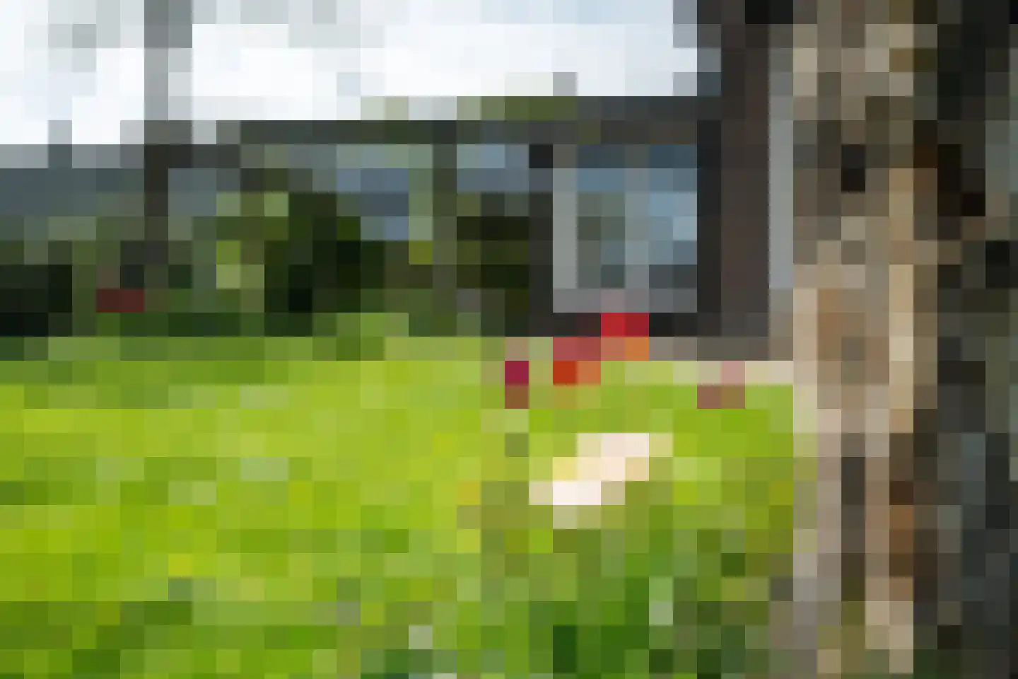 Betterwird 12 Dokkum thumbnail 59