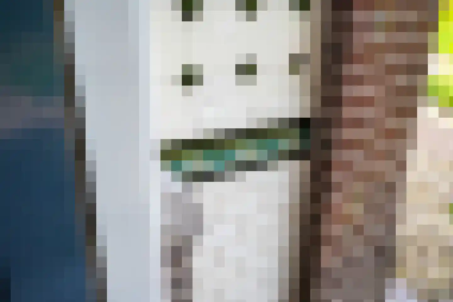 Betterwird 12 Dokkum thumbnail 6