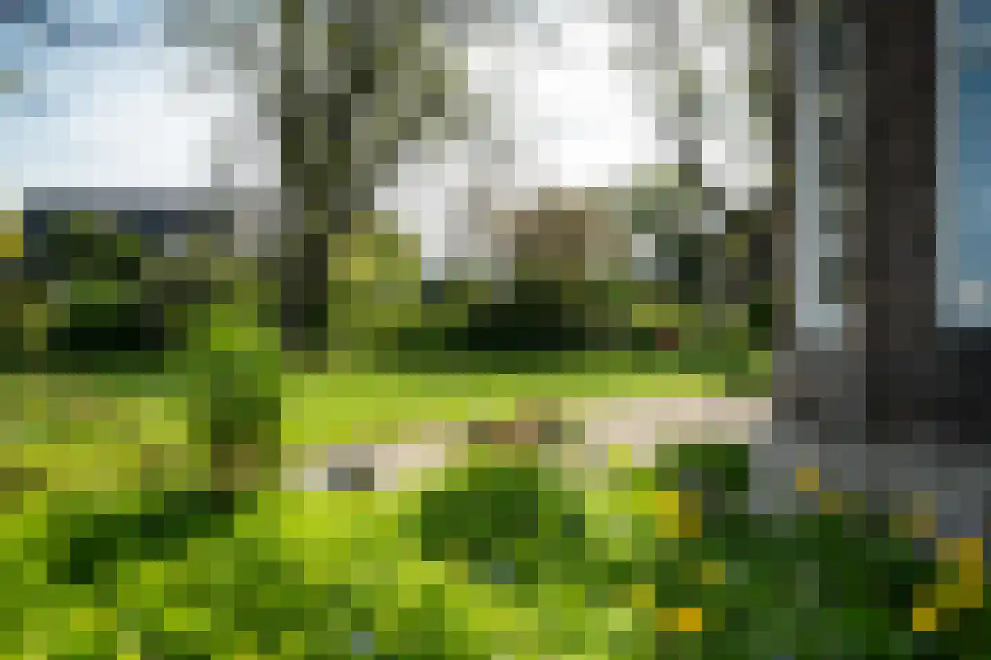 Betterwird 12 Dokkum thumbnail 61
