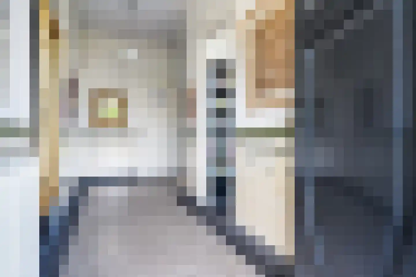 Betterwird 12 Dokkum thumbnail 7