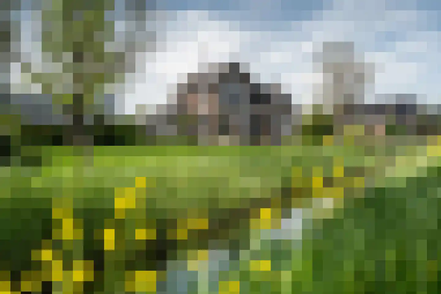 Betterwird 12 Dokkum thumbnail 70