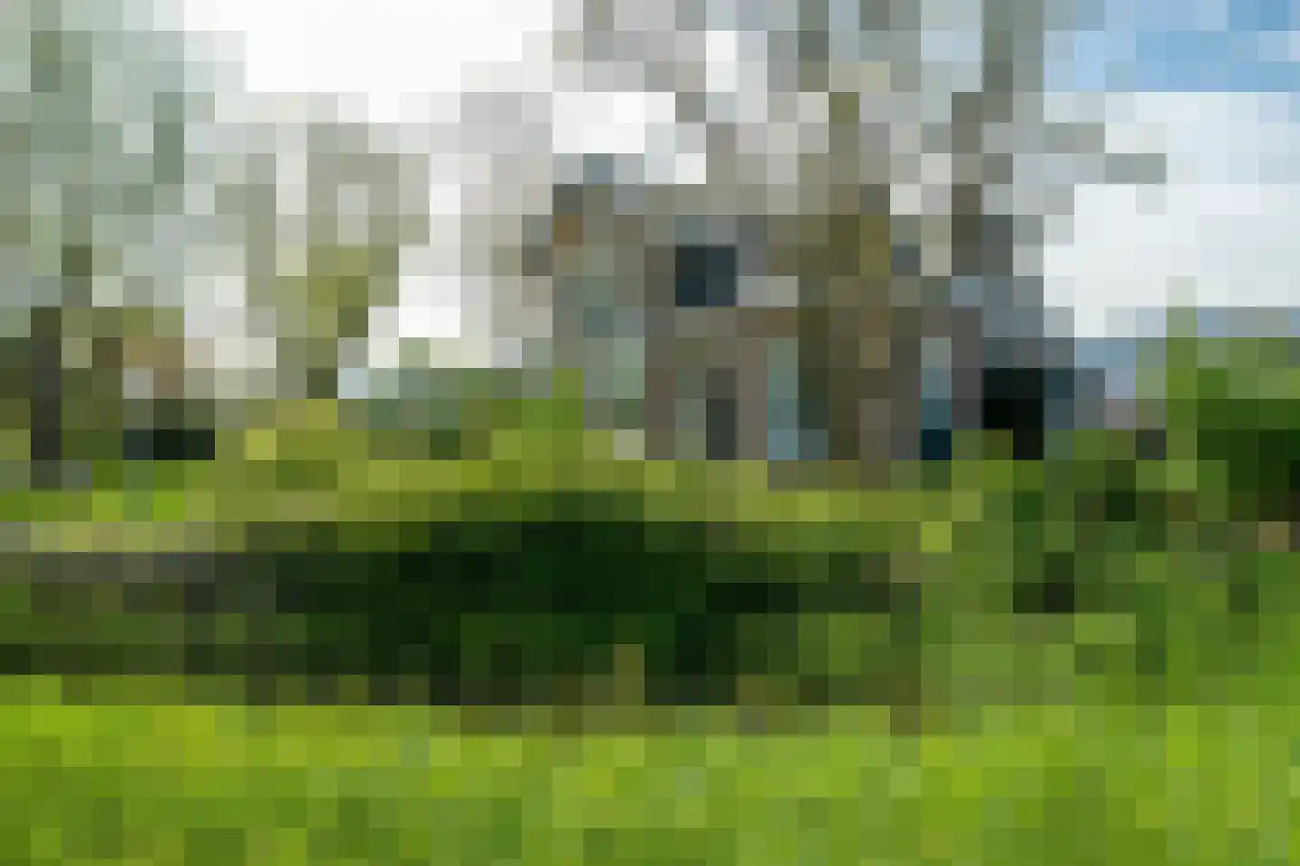 Betterwird 12 Dokkum thumbnail 74