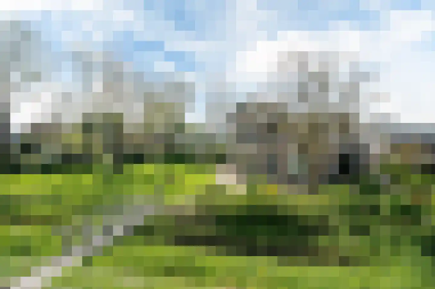 Betterwird 12 Dokkum thumbnail 75