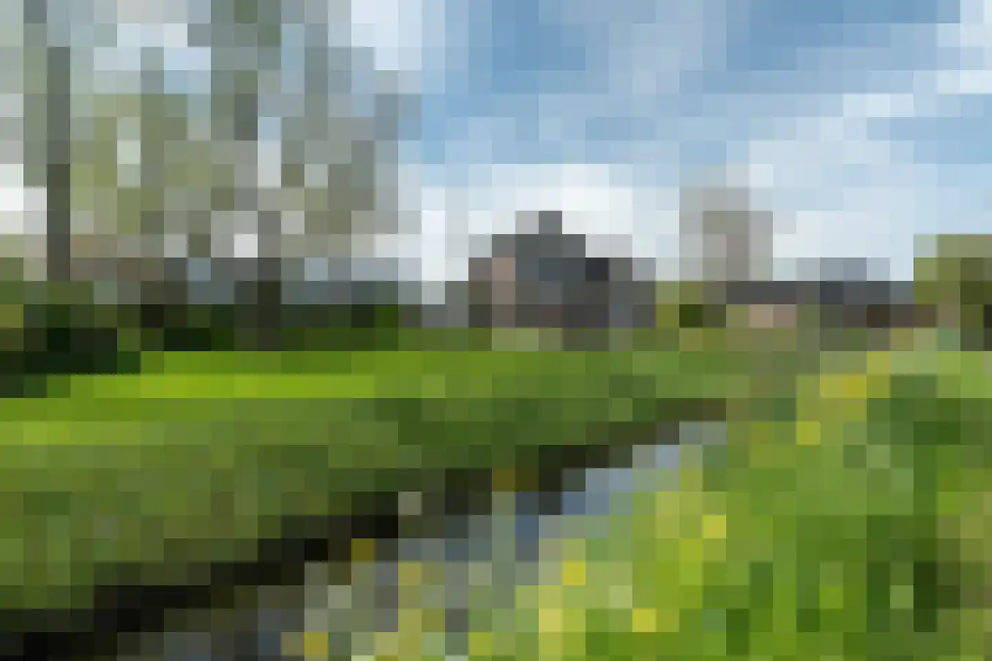 Betterwird 12 Dokkum thumbnail 77