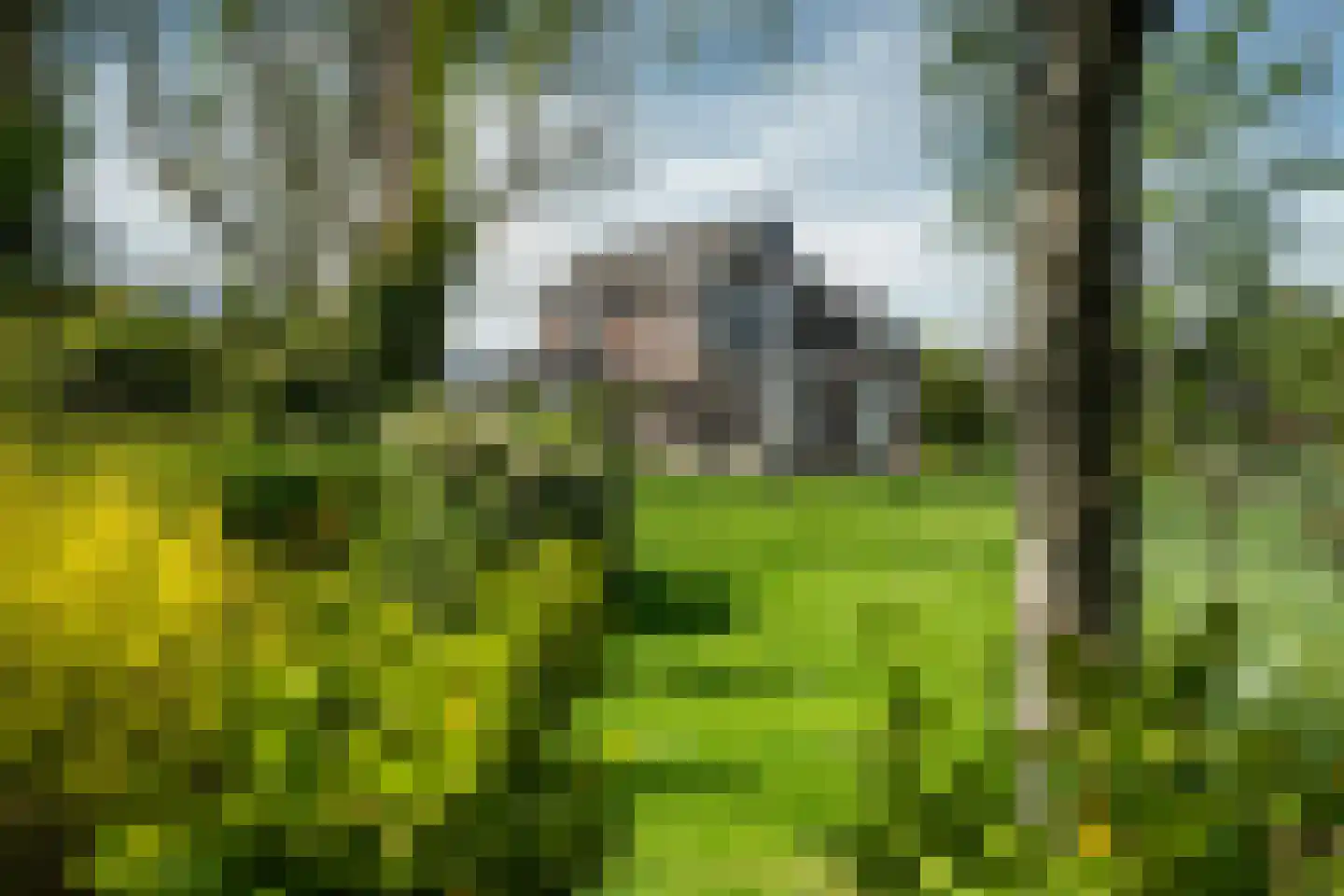 Betterwird 12 Dokkum thumbnail 78