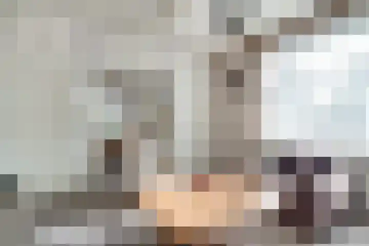Bettestraatje 4 Zevenaar thumbnail 11