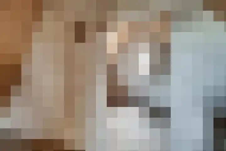 Bettestraatje 4 Zevenaar thumbnail 33