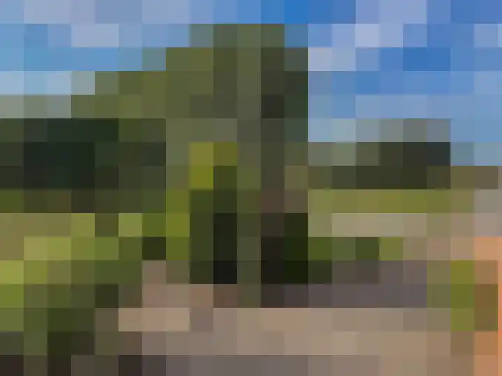 Bettestraatje 4 Zevenaar thumbnail 39