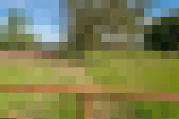 Bettestraatje 4 Zevenaar thumbnail 41
