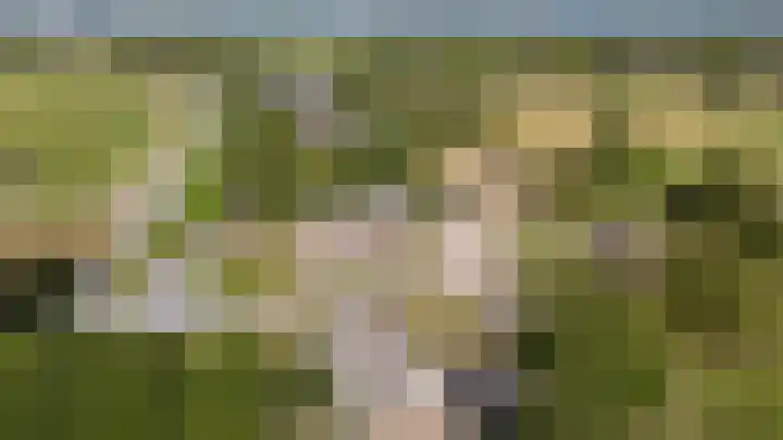 Bettestraatje 4 Zevenaar thumbnail 46