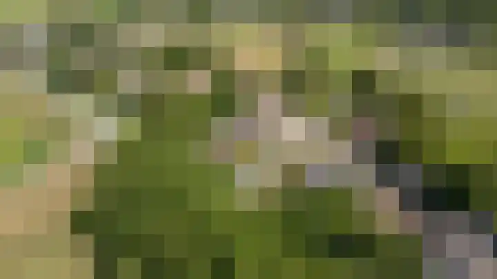 Bettestraatje 4 Zevenaar thumbnail 47