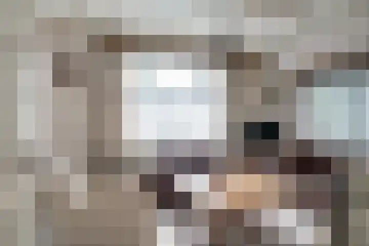 Bettestraatje 4 Zevenaar thumbnail 9