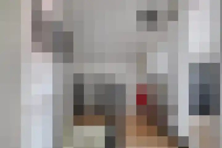 Bettewaardsedijk 9 Zierikzee thumbnail 31