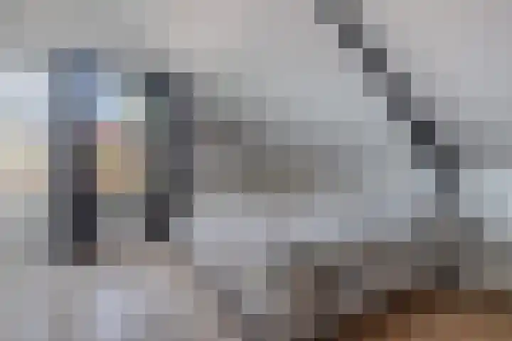Bettewaardsedijk 9 Zierikzee thumbnail 32