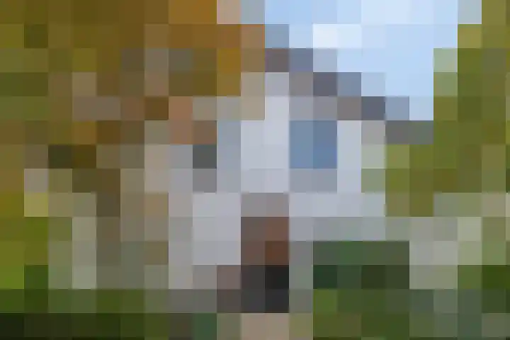 Bettewaardsedijk 9 Zierikzee thumbnail 4