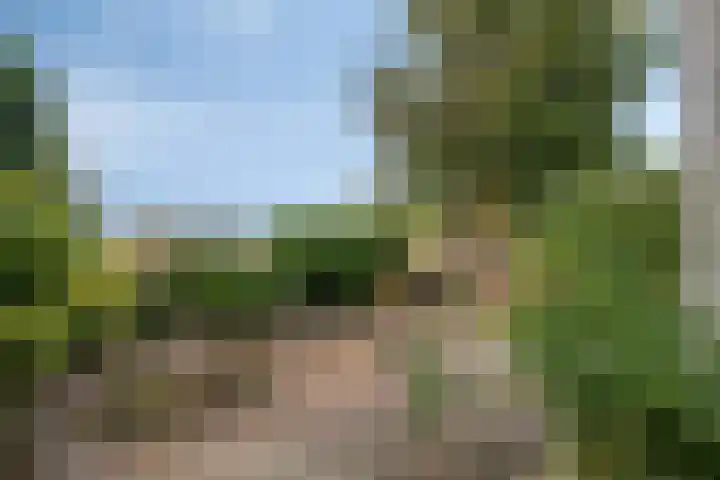 Bettewaardsedijk 9 Zierikzee thumbnail 44