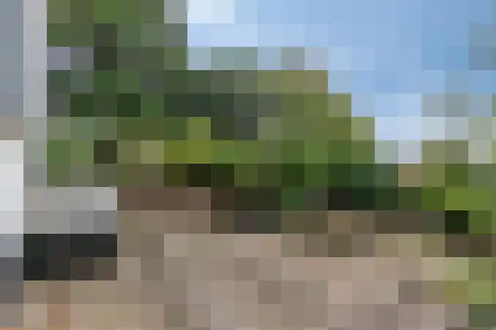 Bettewaardsedijk 9 Zierikzee thumbnail 45