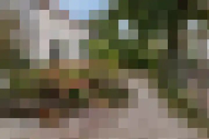 Bettewaardsedijk 9 Zierikzee thumbnail 47