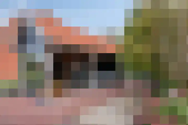 Bettewaardsedijk 9 Zierikzee thumbnail 49