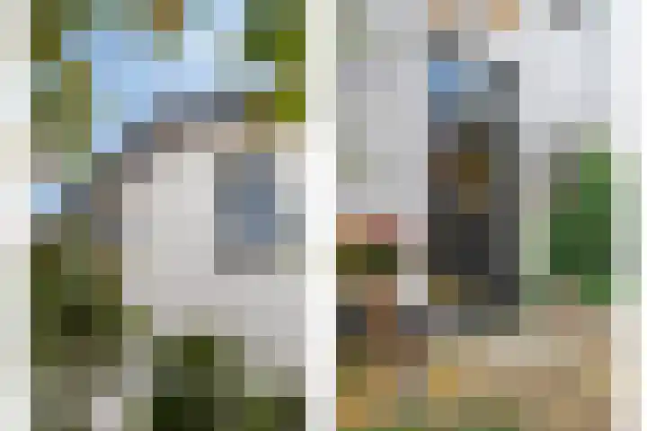 Bettewaardsedijk 9 Zierikzee thumbnail 5