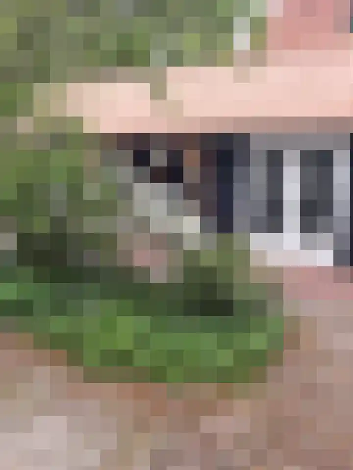 Bettewaardsedijk 9 Zierikzee thumbnail 50