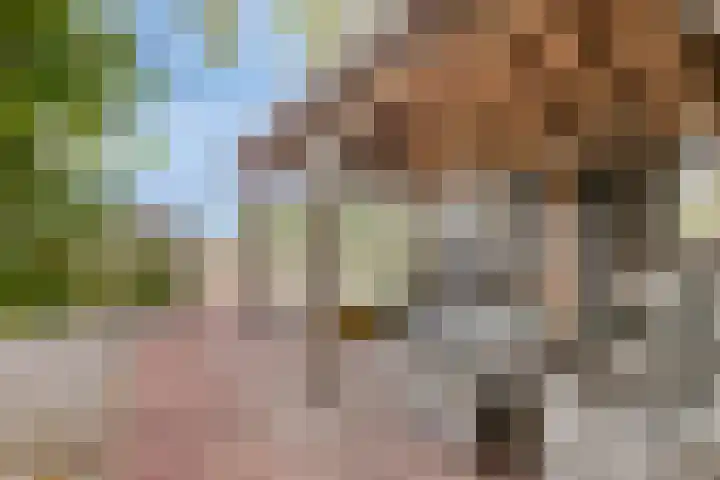 Bettewaardsedijk 9 Zierikzee thumbnail 51