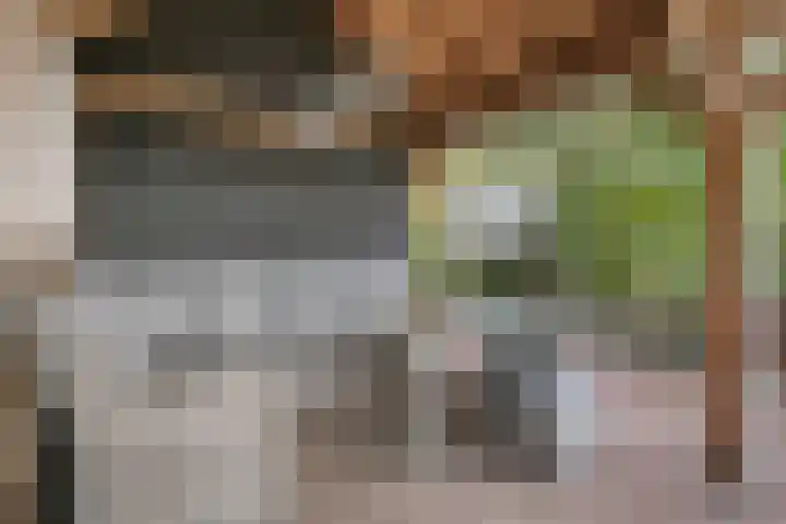 Bettewaardsedijk 9 Zierikzee thumbnail 52