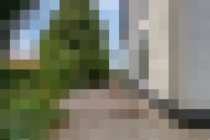 Bettewaardsedijk 9 Zierikzee thumbnail 54