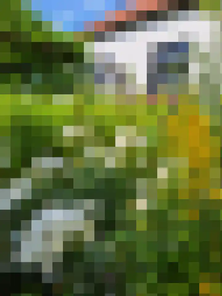 Bettewaardsedijk 9 Zierikzee thumbnail 55