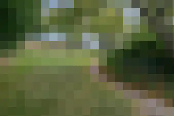 Bettewaardsedijk 9 Zierikzee thumbnail 57