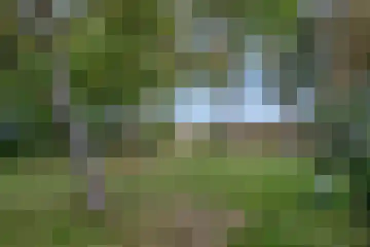 Bettewaardsedijk 9 Zierikzee thumbnail 58