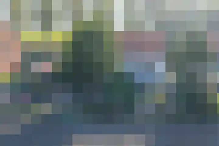 Bettewaardsedijk 9 Zierikzee thumbnail 62