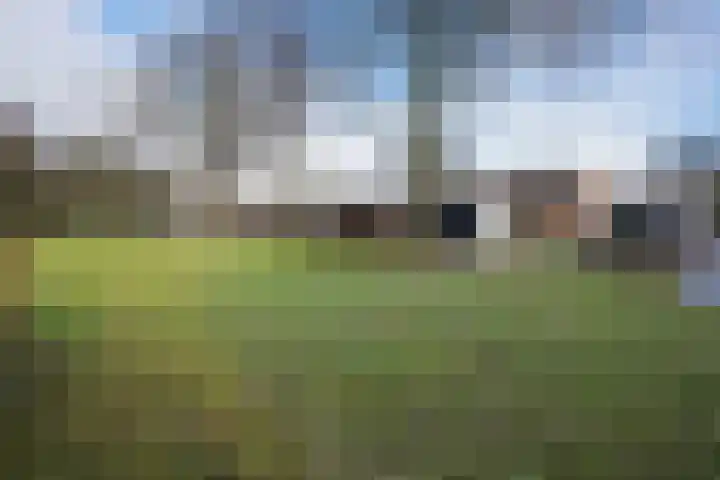 Bettingeslag 26 Emmen thumbnail 29