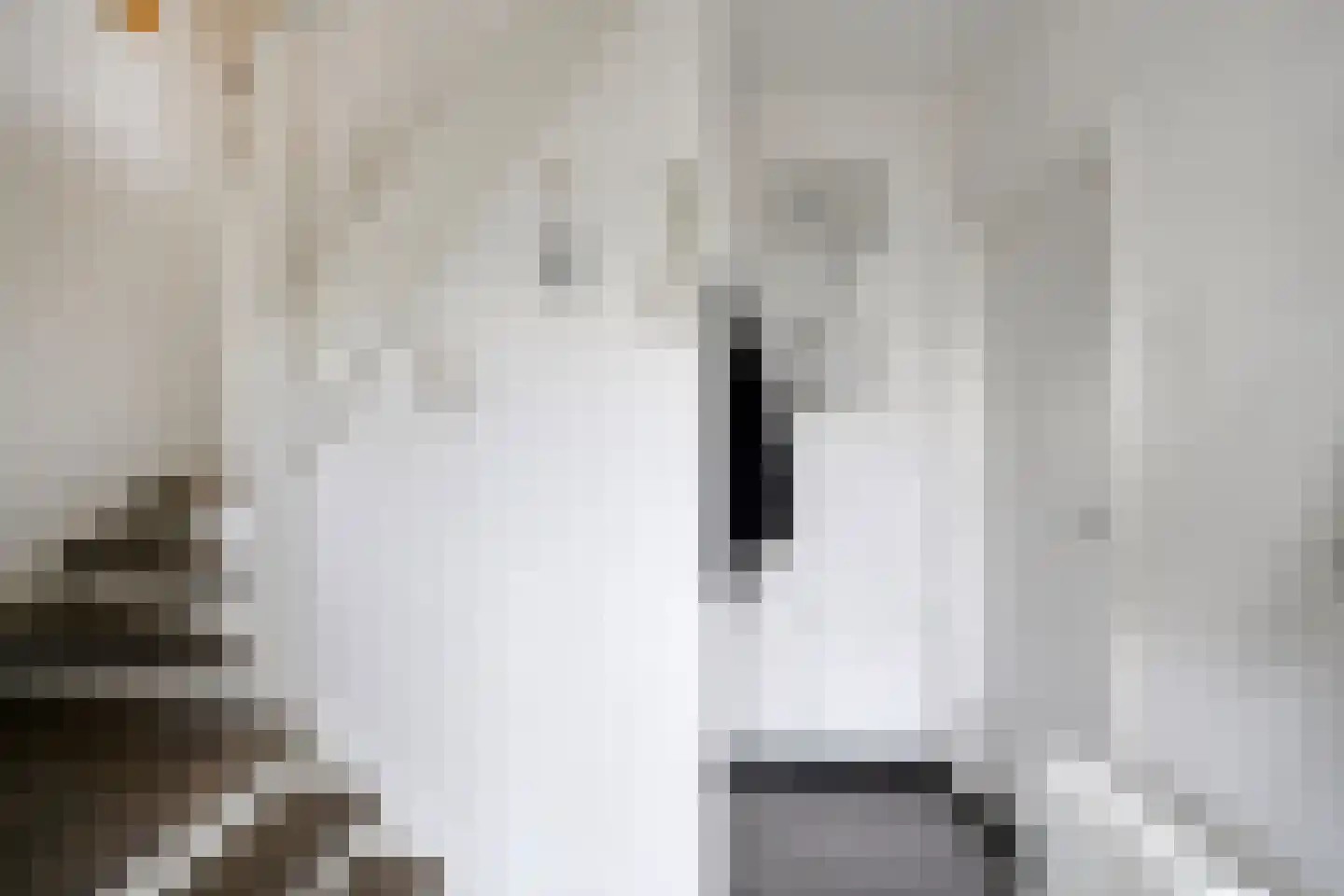 Bettinumstraat 108 Buchten thumbnail 11